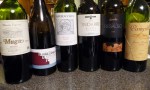 spanish_tasting_wines