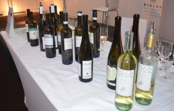 DSC_0131 Volcanic Wines tasting