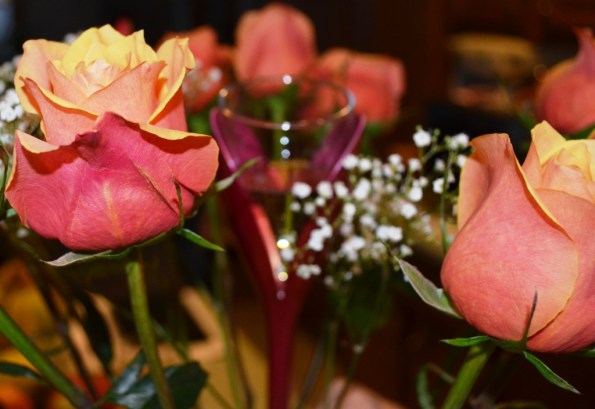 DSC_0182 Roses and Champagne