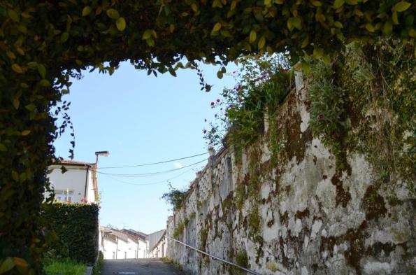 DSC_0749 beautiful view