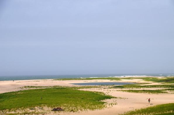 cape cod DSC_0986