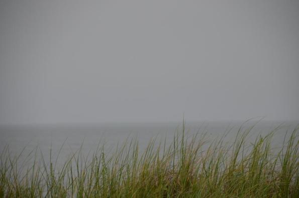 foggy morning DSC_0761