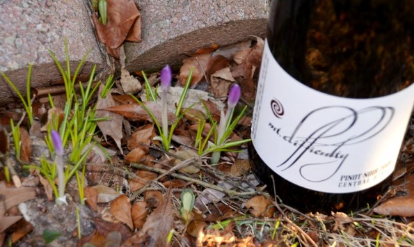 flowers and pinot noir