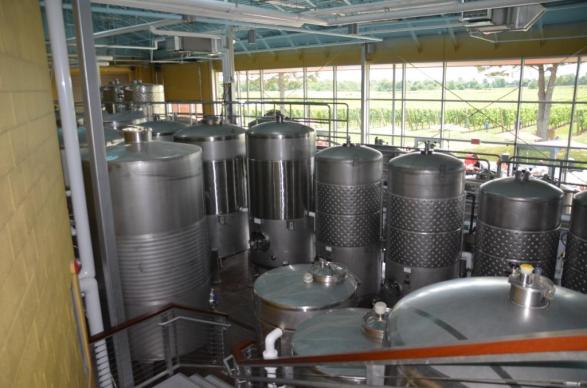 Newport Vineyards - wines in the making