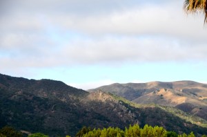 Santa Barbara Hills