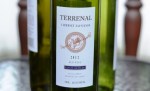 Terrenal Cabernet Sauvignon