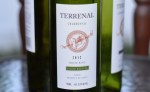Terrenal Chardonnay