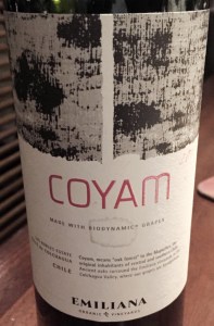 Emiliana Coyam Chile Bidynamic Grapes