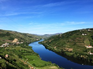 Douro Valley 2