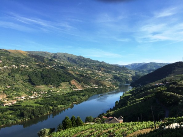 Douro valley 5
