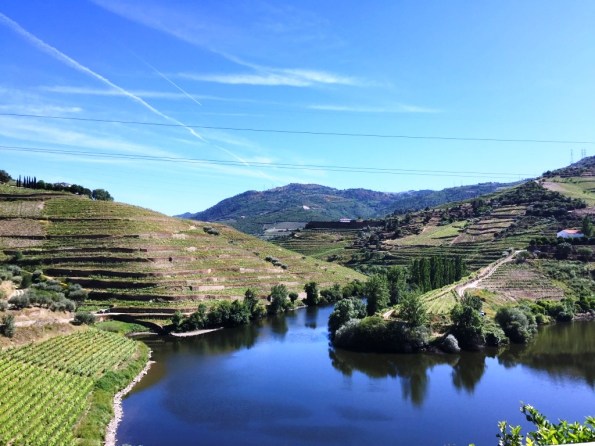 Quinta do Tedo Vineyards