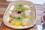 Snapper Crudo
