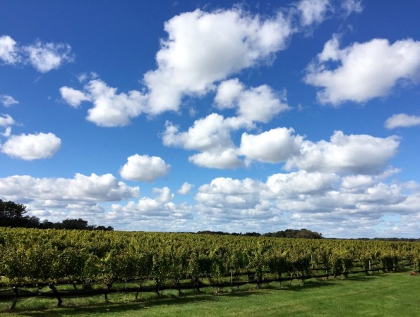 Ahhh  Long Island Wine Country