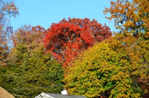 New England Fall Colors