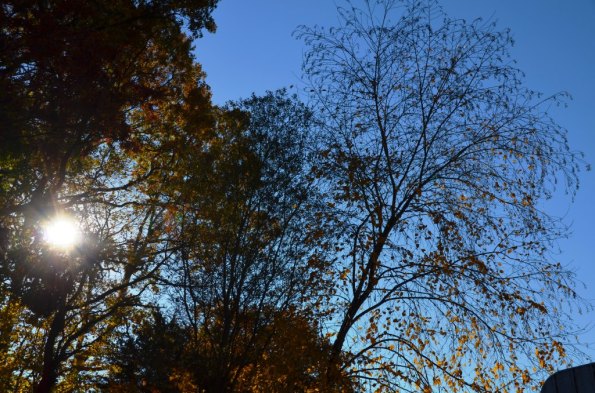 ????????????????????????????????????