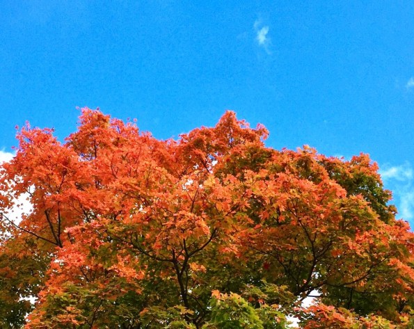 New England Fall Colors