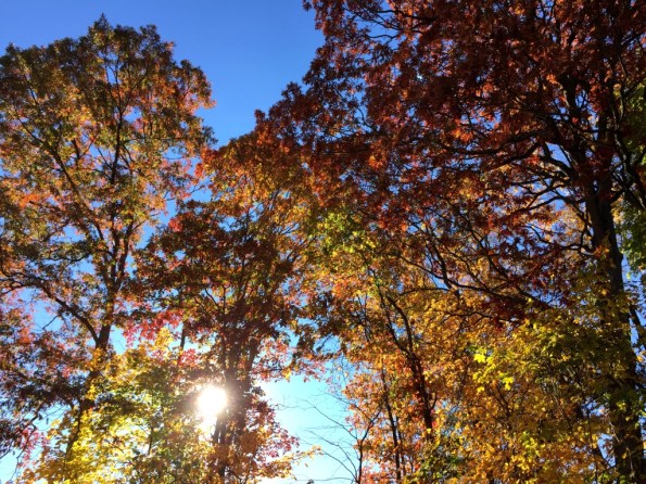 New England Fall Colors