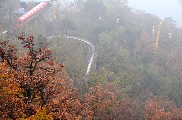 Toboggan - the best way down