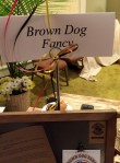 Brown Dog Fancy&nbsp;Mustars