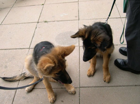 Verda with her sister