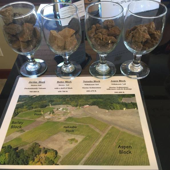 Vineyard Map. Source: Youngberg Hill Vineyards