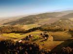 Youngberg Hill Vineyards Aerial&nbsp;Photo