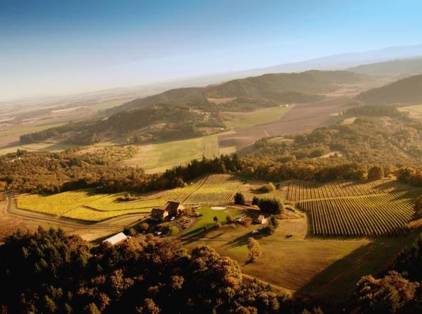 Youngberg Hill Vineyards Aerial Photo