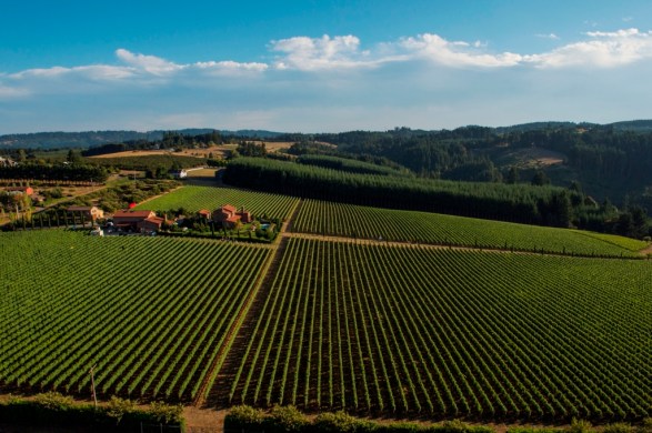 Alloro Winery, Chehalem Mountain AVA, Willamette Valley, Oregon