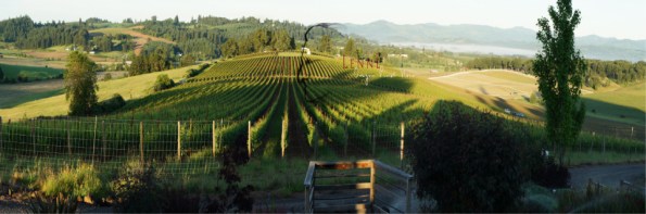 lenné vineyard