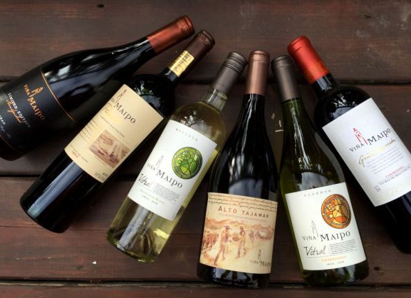 Viña Maipo wines