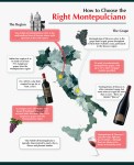 Montepulciano Infographic Italy