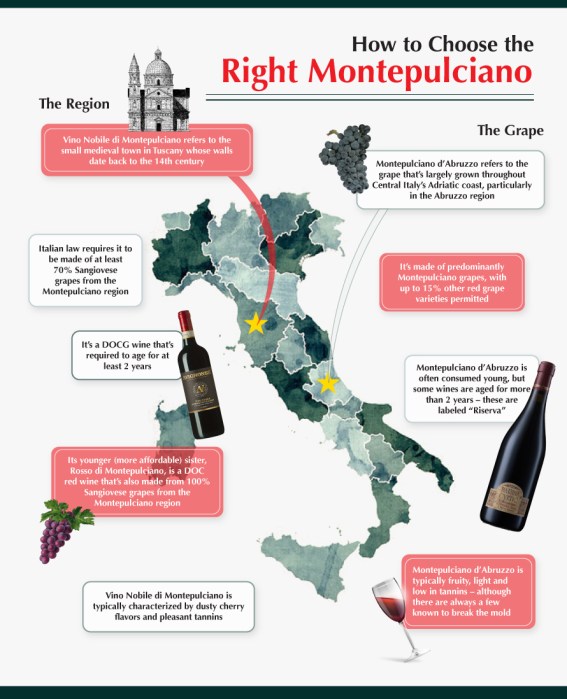 Montepulciano Infographic Italy