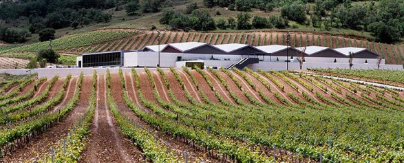 Bodegas CEPA 21