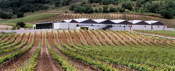 Bodegas CEPA 21