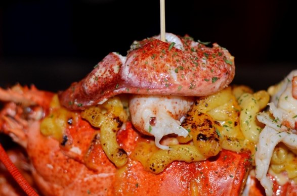 3 lb Lobster Mac at Killer B