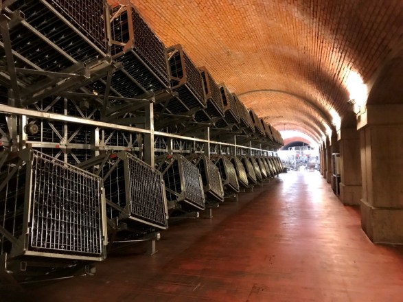 Franciacorta cellar