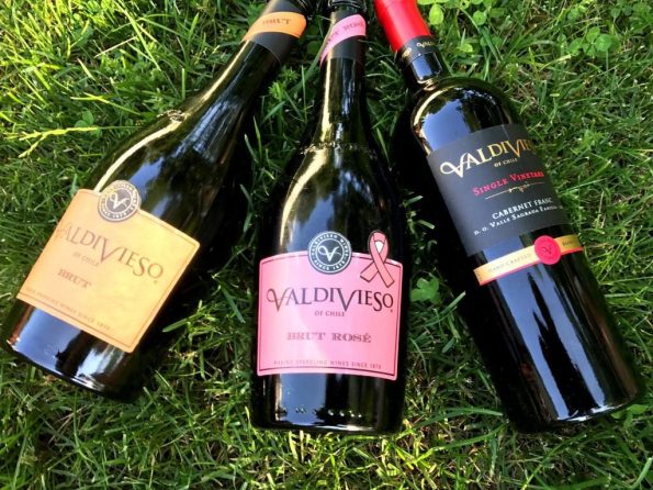 Viña Valdivieso wines