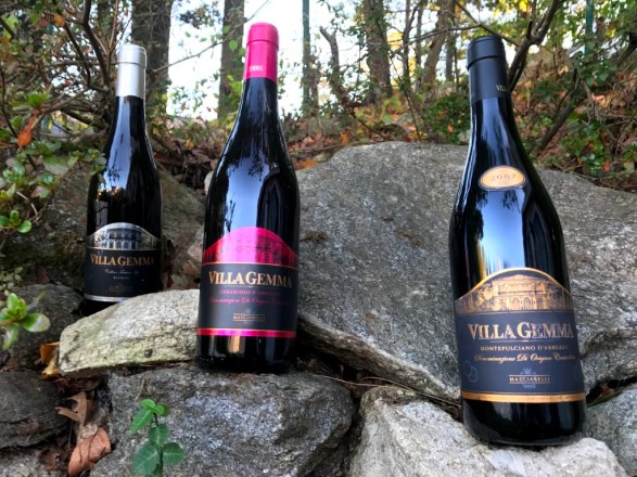 Masciarelli Villa Gemma wines