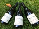 Knudsen Vineyards