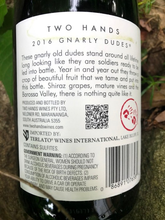 Two Hands Gnarly Dudes Shiraz