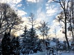 IMG_0766