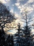 IMG_0780