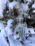 IMG_0784