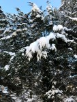 IMG_0812