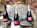 Champagne (12)