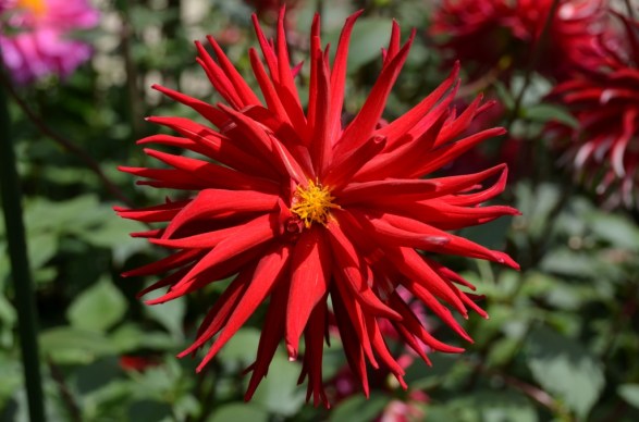 Gardens by the Bay Singapore