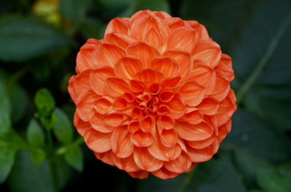 Gardens by the Bay Singapore