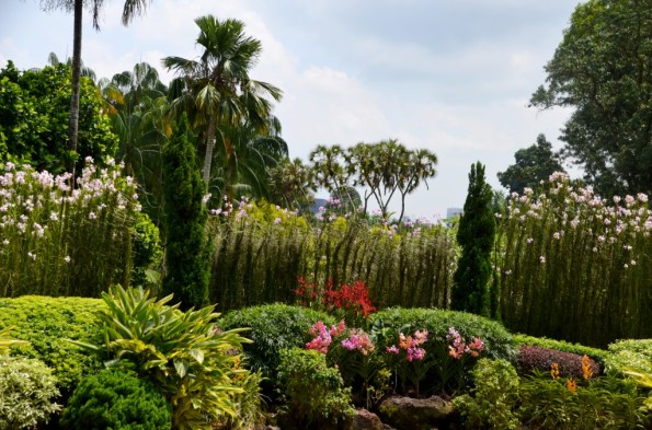 National Orchid Garden Singapore