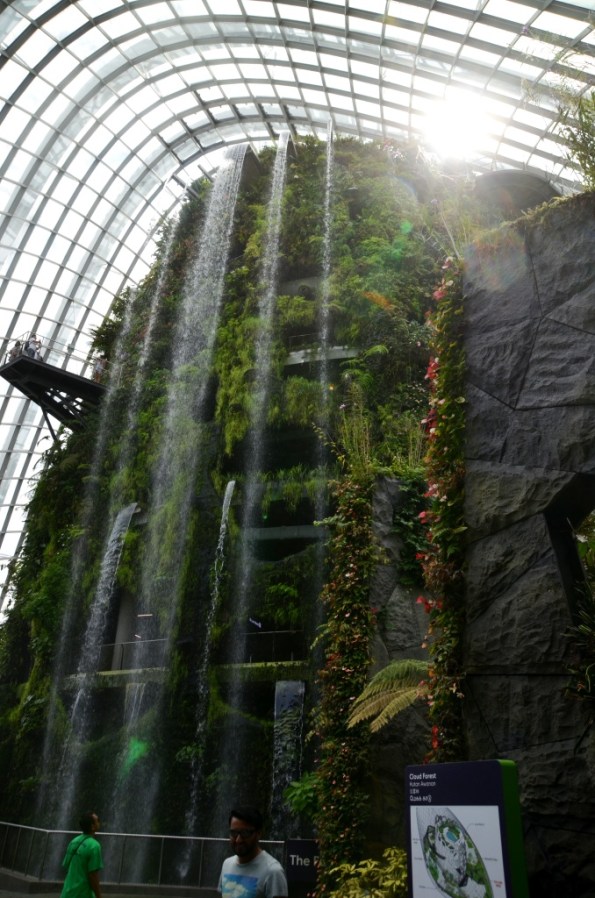Cloud Forest Gardens by the Bay Singapore