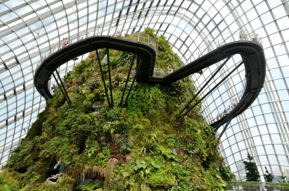 Cloud Forest Gardens by the Bay SingaporeCloud Forest Gardens by the Bay Singapore